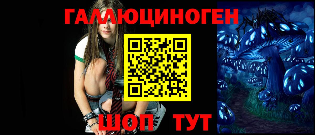 Псилоцибиновые грибы Psilocybine cubensis  Вход с VPN  Зеленодольск 